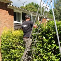 Hedge Trimming