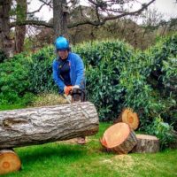 Chainsaw