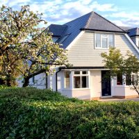 Winchester hedges & apple tree