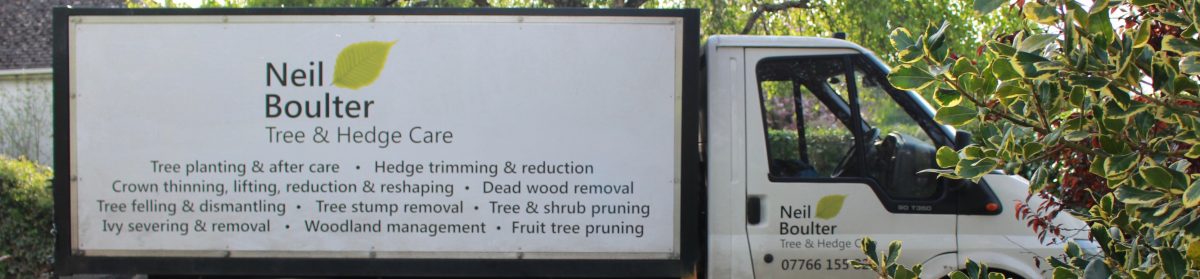 Neil Boulter Tree & Hedge Care