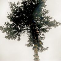 Working at heights