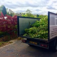 Neil Boulter Tree & Hedge Care Tipper Truck