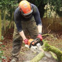 Chopping up fallen branches