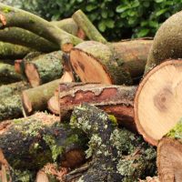 Logs after processing